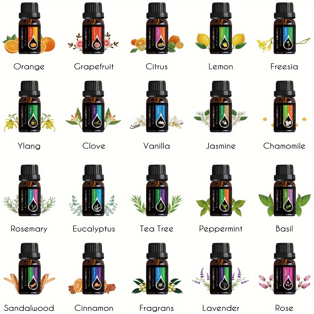 20 pz/set Set di Olio Essenzia - Spa Wellness Locations recensione e prezzo